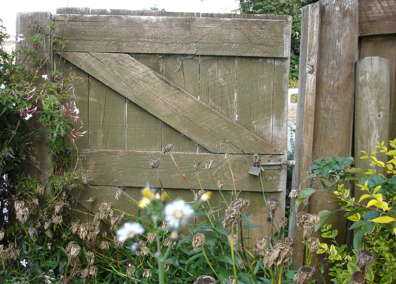 ajar wooden garden gate
